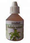Kalsia voav (Callisia fragrans) - Elixr zdravia